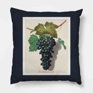 Wine Lover Pillow