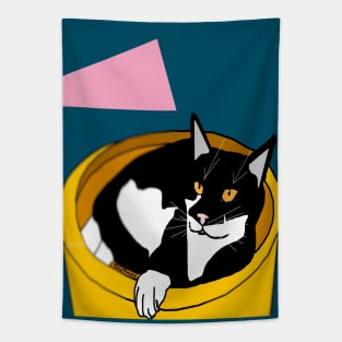 Cute Tuxedo Cat laying in a fruit bowl.  Copyright TeAnne Tapestry