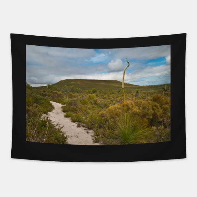 Mt Lesueur 1 Tapestry by fotoWerner