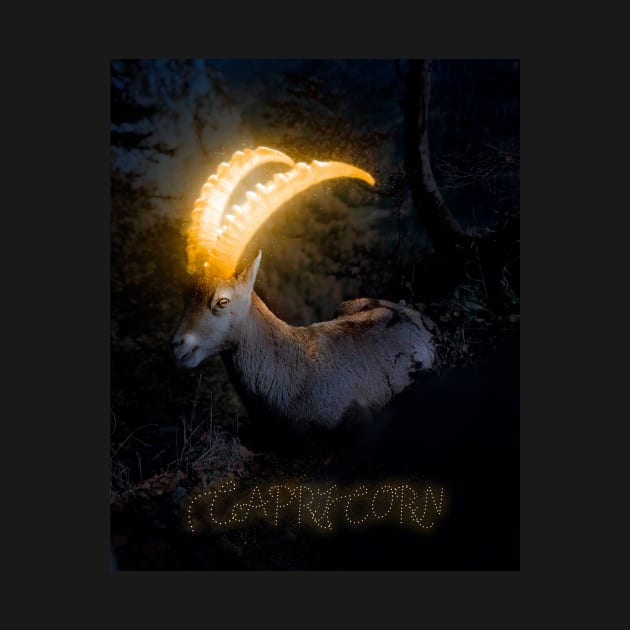 Caprocorn Zodiac by DrSoed