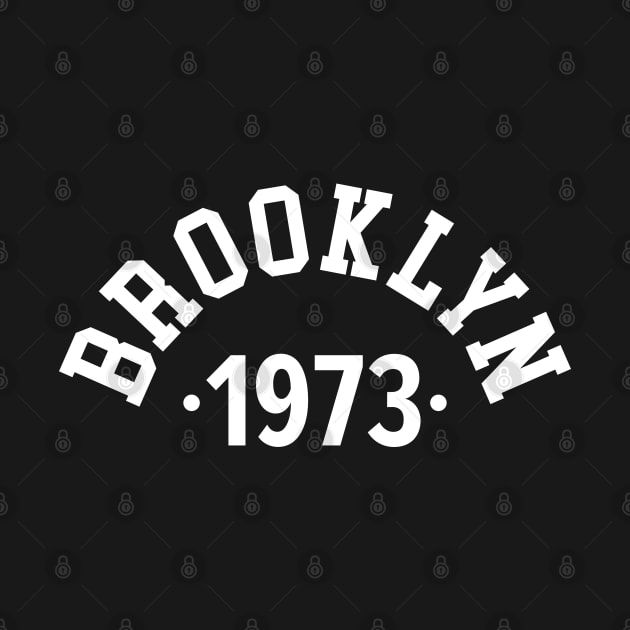 Brooklyn Chronicles: Celebrating Your Birth Year 1973 by Boogosh