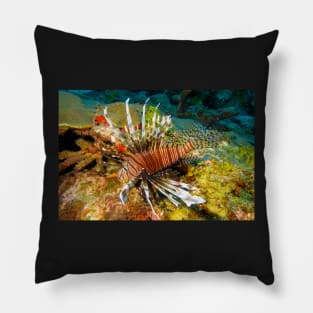 Lionfish Pillow