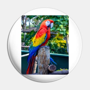 Parrot Pin