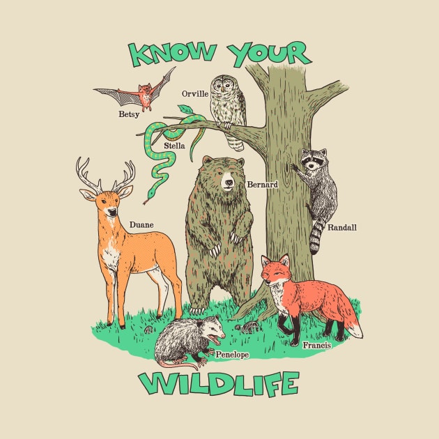 Know Your Wildlife by Hillary White Rabbit