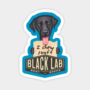 Black Lab Best Breed Magnet