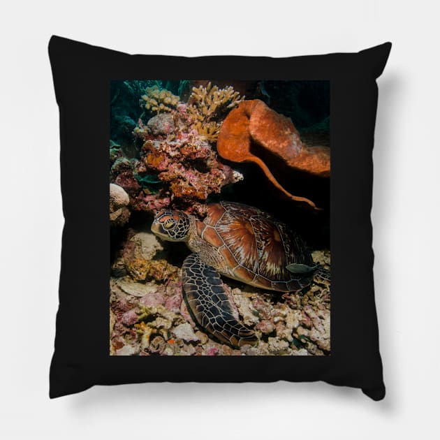 The Beauty of the Shell of a Green Turtle Pillow by jbbarnes