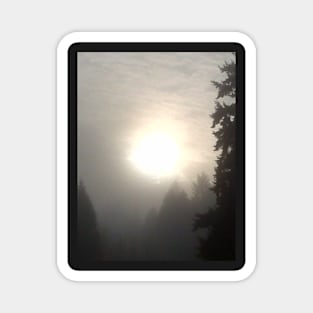 Misty Morning Sun #1 Magnet