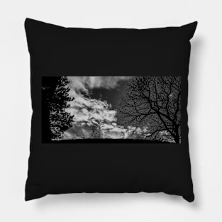 Silhouettes On A Jesmond Dene Foot Bridge Pillow