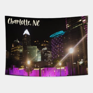 Cool photography of Charlotte North Carolina skyline pink sky sunset USA city break Tapestry