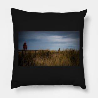 South Shields Sparrow Pillow