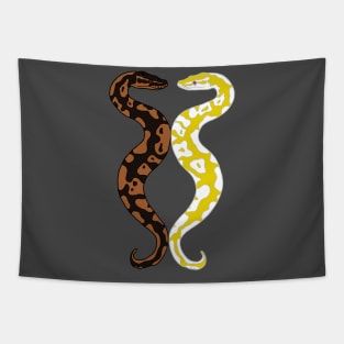 Twin Ball Pythons Tapestry