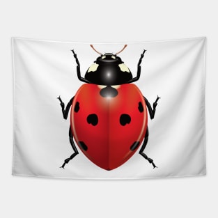 Ladybug Tapestry