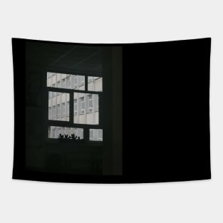 Windows Tapestry