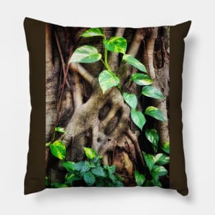 Ivy tree Brasil Pillow