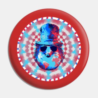 Dr who the hedgehog Pin