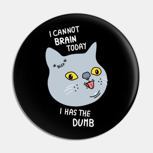 I cannot brain today I has the dumb Pin