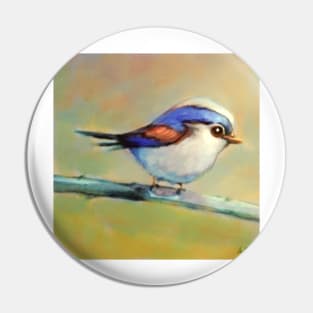 White bellied little bird Pin