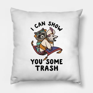 I Can Show You Some Trash Pillow