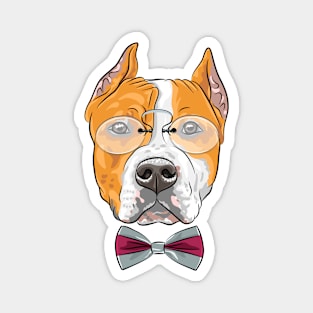 American Staffordshire Terrier Magnet