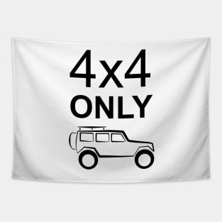 4x4 only (light) Tapestry