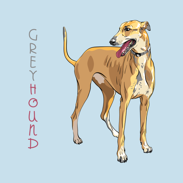 Dog breed Greyhound by kavalenkava