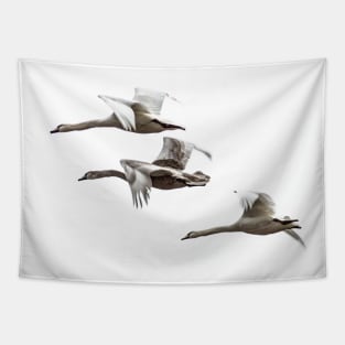 Flying swans on a white background - The dream of freedom! Design by Salogwyn Life Art Tapestry