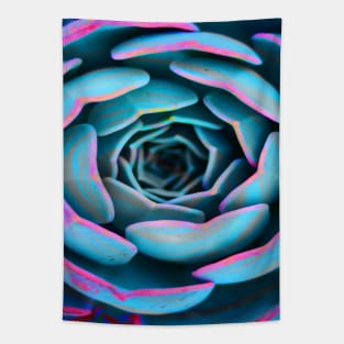 Colorful Succulent Desert Rose Tapestry