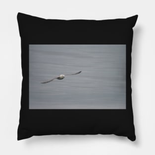 Gliding Pillow