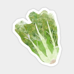 Lettuce Magnet