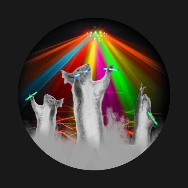 Squirrel Rave 2 Rave TShirt TeePublic