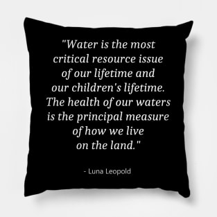 Quote About Water Day Pillow