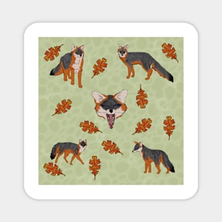 Grey Foxes Creme Magnet