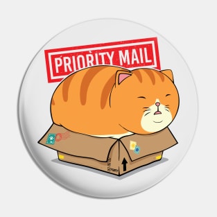 BOX CAT Pin