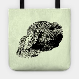 Varanus Tote