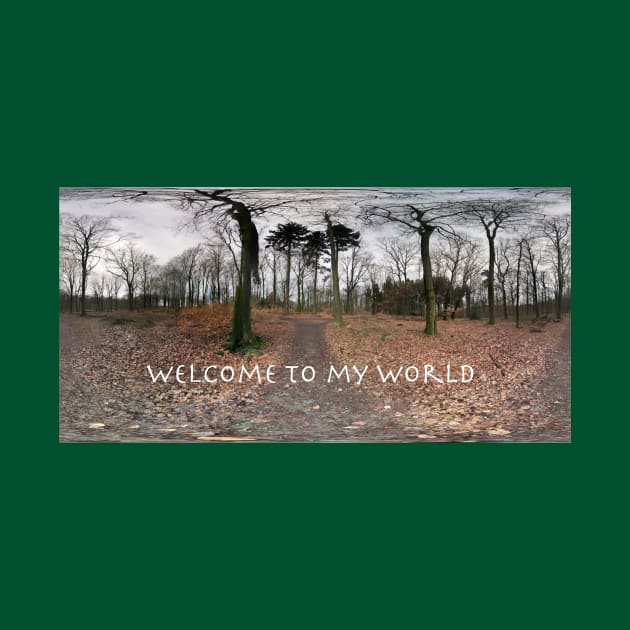 Welcome to My World by Humoratologist