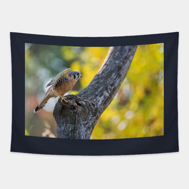 Autumn Kestrel Tapestry by gdb2