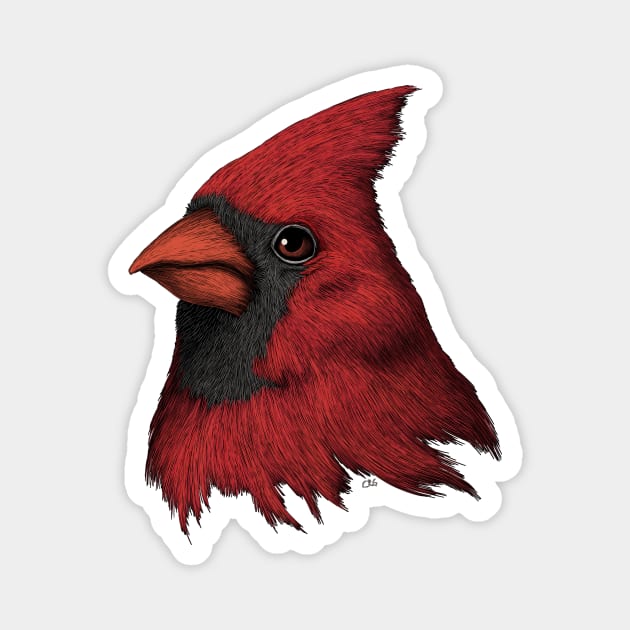 Cardinal Magnet by Walking in Nature