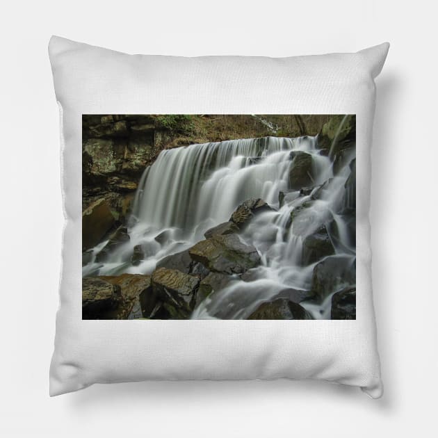 Wolf Creek Pillow by PaulLu