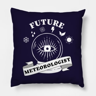 Funny Weather Forecasting Gift - Future Meteorologist Pillow