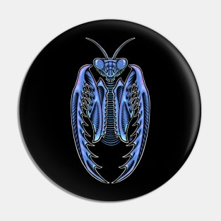 Mantis Pin