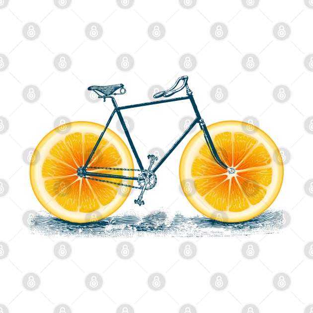 Vintage Orange Old Bike with Retro Cycle Frame by Olloway