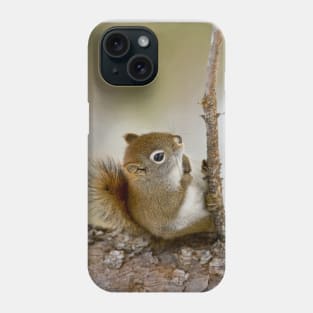 Red Squirrel Phone Case