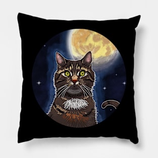 The Tabby Cat and The Moon Pillow