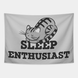 Sleep Enthusiast Cat Nap Tapestry