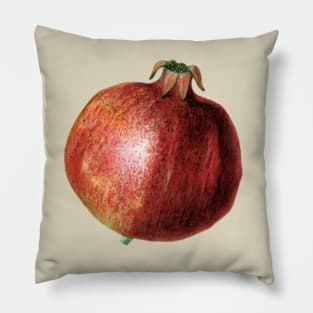 Pomegranate Pillow