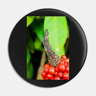 Red peppercorn with bird beak Pin