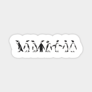 Graphic Nature - African Penguin colony Magnet