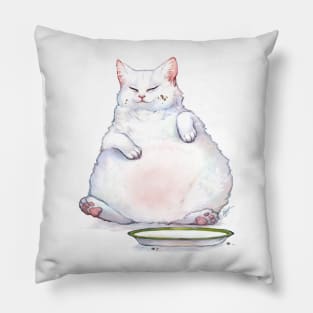 Fatcat Pillow