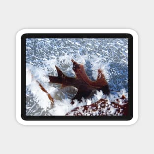 Frozen Leaf Magnet