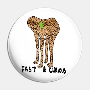 Fast and the furious Pin